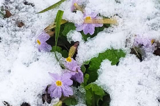 Milli parkları ziyarət edən turistlərin sayı artıb - FOTO