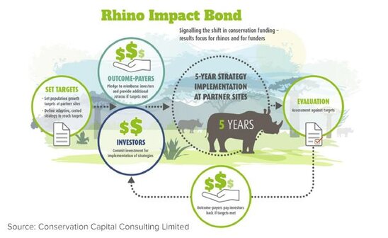Dünyada ilk dəfə "vəhşi təbiət" istiqrazları buraxılıb