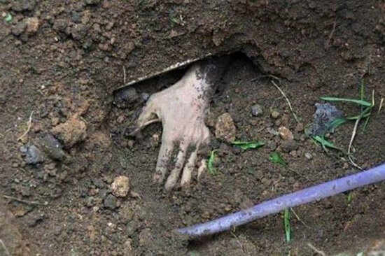 Yeddi il əvvəl itkin düşmüş qadın öldürülübmüş: Əmisi oğlu saxlanıldı - FOTO