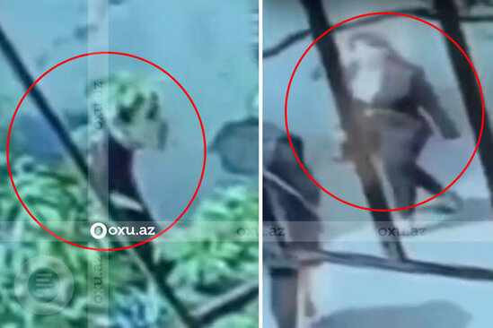 Məhkəmə Bakıda anasını qətlə yetirən yeniyetmənin həbsi ilə bağlı qərar verdi - VİDEO