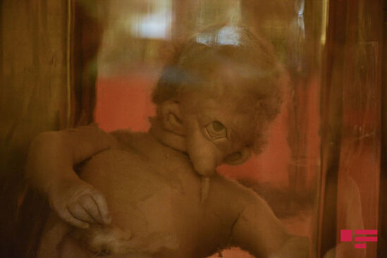 Alim: "Tək yaralı yerimiz meyit azlığıdır" - FOTO