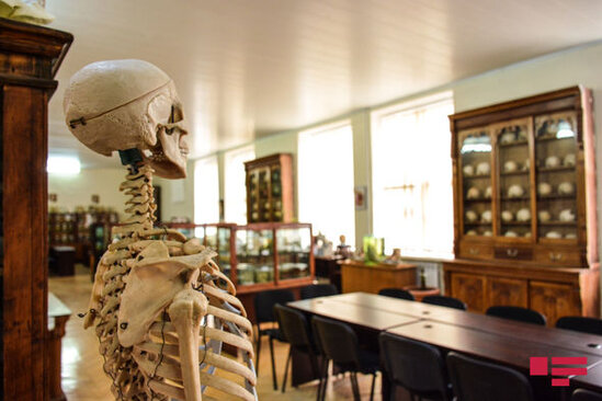 Alim: "Tək yaralı yerimiz meyit azlığıdır" - FOTO