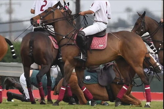 Şahzadə Harri hər kəsin gözü qarşısında atdan yıxıldı - FOTO