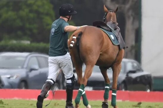 Şahzadə Harri hər kəsin gözü qarşısında atdan yıxıldı - FOTO