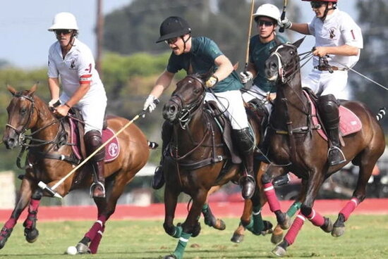 Şahzadə Harri hər kəsin gözü qarşısında atdan yıxıldı - FOTO