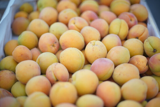 Bu ərazilərdə ucuz bazar olacaq - FOTO