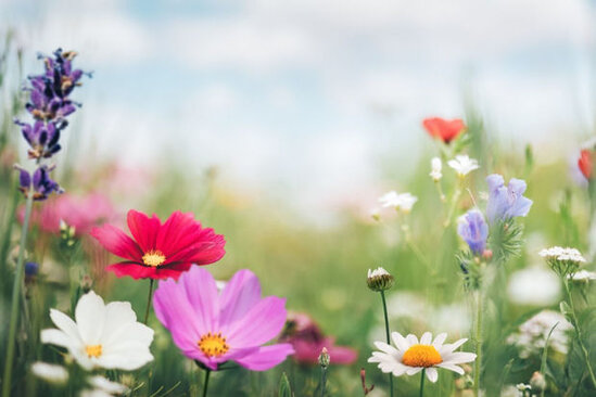 Sabah 37 dərəcə isti gözlənilir - PROQNOZ