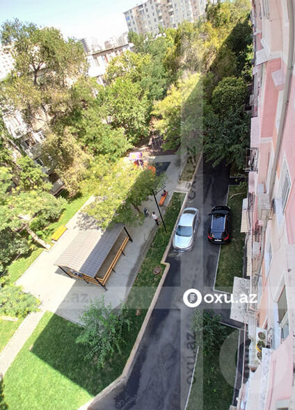 Yaşıllıqları məhv edən maşının hansı quruma məxsus olduğu BİLİNDİ - YENİLƏNİB + FOTO