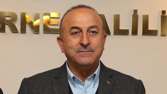 Çavuşoğlu finlandiyalı həmkarı ilə memorandumdan danışdı