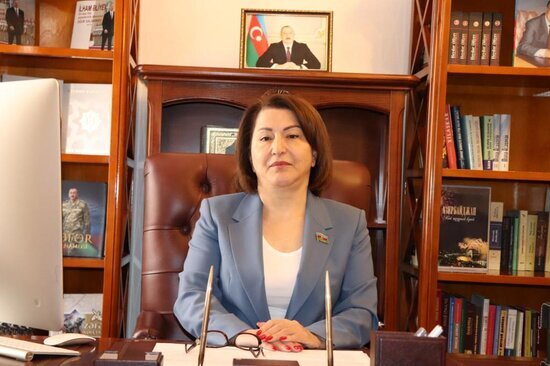 "Bu cür təxribatlarla Azərbaycanın dünya miqyasındakı imicini zədələmək qeyri-mümkündür" - Deputat