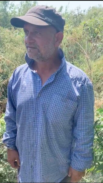 Kürün sahilində çətənə yetişdirən şəxs tutuldu - FOTO