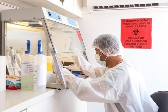 Ağalıda çadır tipli heyvan kəsimi məntəqəsi fəaliyyətə başlayıb - FOTO