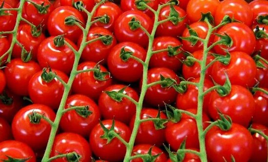 "Pomidor müharibəsi" bitdi
