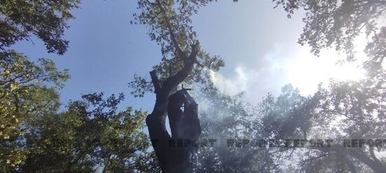 Xudatdakı yanğınla bağlı yollarda postlar quruldu - YENİLƏNİB + FOTO