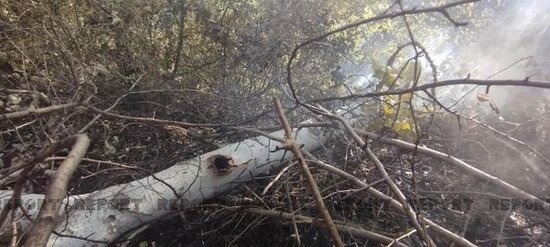 Xudatdakı yanğınla bağlı yollarda postlar quruldu - YENİLƏNİB + FOTO