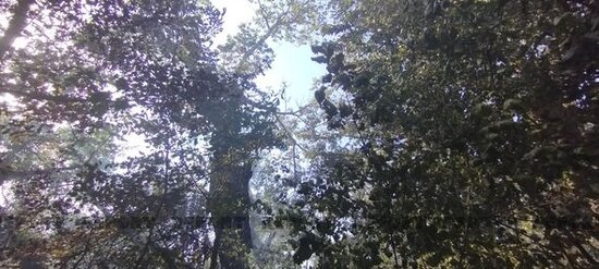 Xudatdakı yanğınla bağlı yollarda postlar quruldu - YENİLƏNİB + FOTO