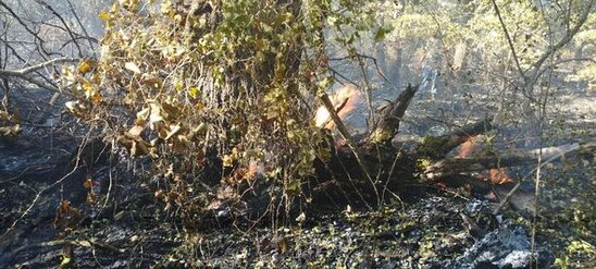 Xudatdakı yanğınla bağlı yollarda postlar quruldu - YENİLƏNİB + FOTO