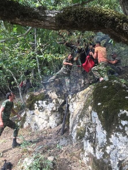 "Qalaaltı" yaxınlığındakı meşə yanğınları söndürülüb - FOTO
