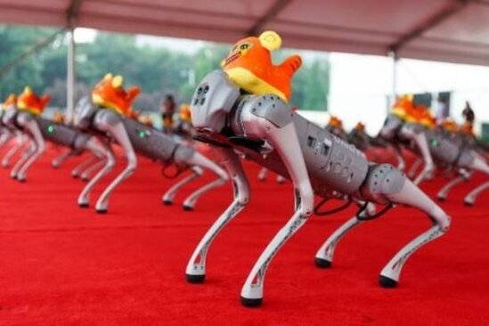 Pekində yüz robot itin iştirakı ilə rəqs şousu keçirildi - VİDEO