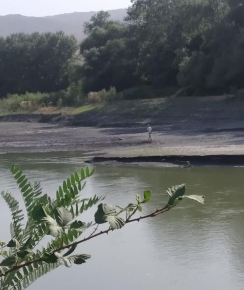 Azərbaycan-Gürcüstan sərhədini pozan şəxs PUA ilə aşkarlanıb - FOTO