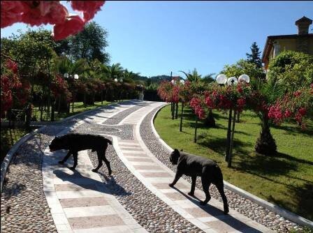 Azərbaycanlı milyonçu İtaliyadakı villasını SATIŞA ÇIXARIB - Təfərrüat + FOTOLAR