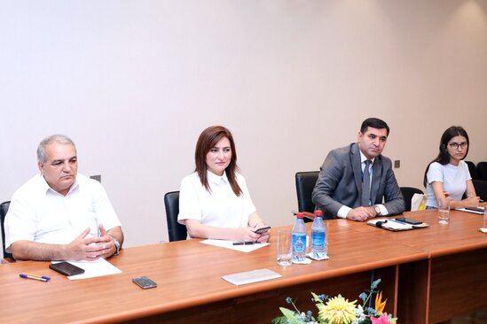 Şəhid ailələri və qazilərə göstərilən xidmətlə bağlı hesabat açıqlandı