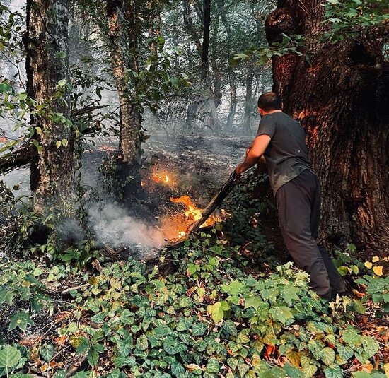 Yanğın Zaqatala təbiətini belə dəyişdi-MÜƏLLİFİN GÖZÜNDƏN