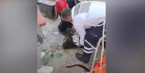 FHN binanın pəncərəsindən yıxılan 13 yaşlı uşağı belə xilas etdi - VİDEO