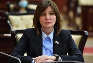 "Zəfər münasibəti ilə Azərbaycan Prezidentini, ordumuzu alqışlayanlar bu gün erməniləri müdafiə edirlər" - Deputat