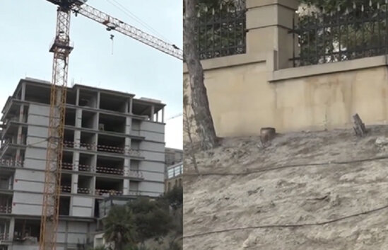 Bakıda dəhşətli olay: 100-ə yaxın ağac kökündən kəsildi - VİDEO