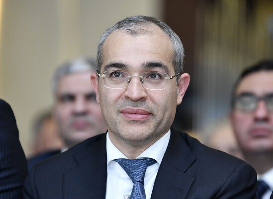 Mikayıl Cabbarov: "Sahibkarlara 66,6 milyon manat faiz subsidiyası verilib" - FOTO