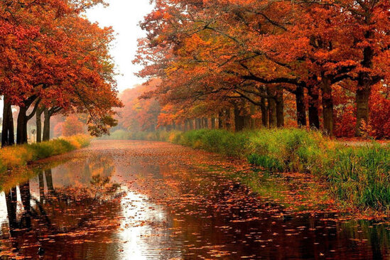 Sabahın hava proqnozu AÇIQLANDI