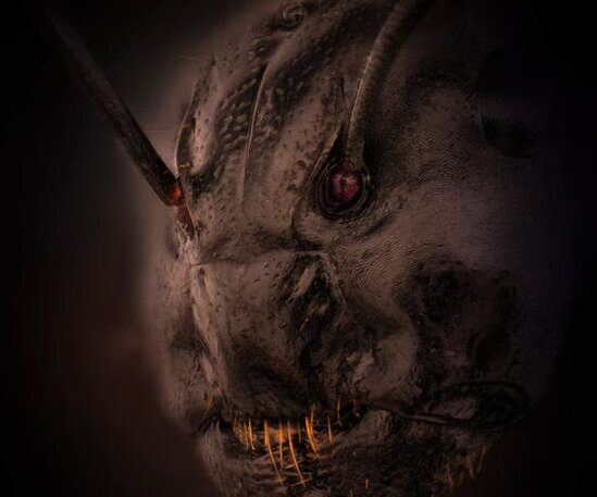 Onu hər birimiz tanıyırıq, amma ilk dəfədir belə görürük - FOTO