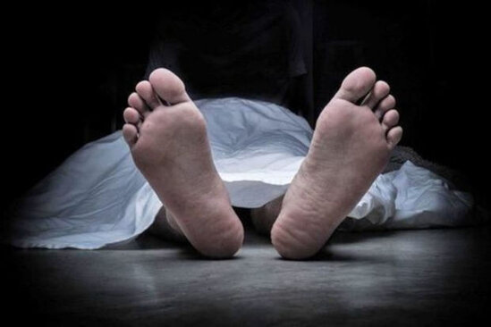 86 yaşlı kişi ağacdan yıxılaraq öldü