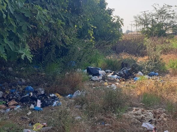 Masallıda ətraf mühiti məişət tullantıları ilə zibilləyən şəxslər barəsində tədbirlər görülüb - FOTO