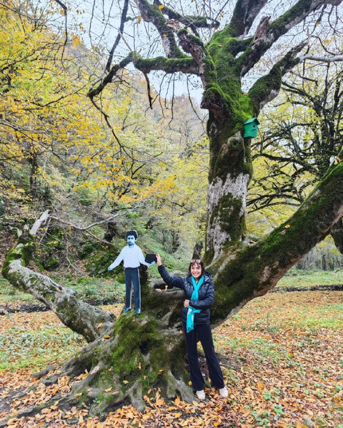 Leyla Əliyevanın iştirakı ilə Şahdağ Milli Parkına marallar buraxılıb - FOTO/VİDEO