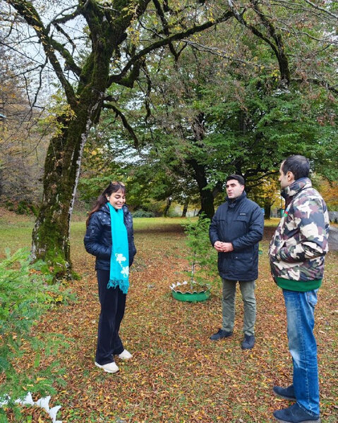 Leyla Əliyevanın iştirakı ilə Şahdağ Milli Parkına marallar buraxılıb - FOTO/VİDEO