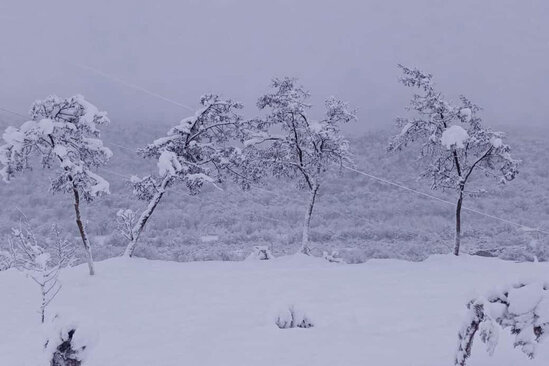 Şimal bölgəsinə qar yağıb