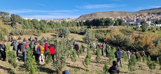 "Norm" ASC ağacəkmə kampaniyasına qoşulub