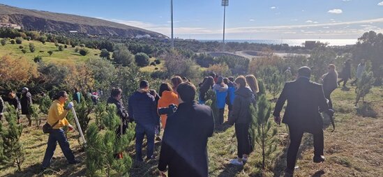 "Norm" ASC ağacəkmə kampaniyasına qoşulub