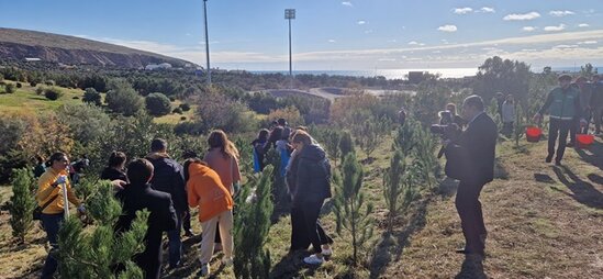 "Norm" ASC ağacəkmə kampaniyasına qoşulub