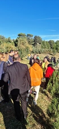 "Norm" ASC ağacəkmə kampaniyasına qoşulub