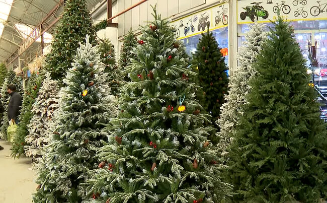 Avtomobil qiymətinə satılan bayram "yolka"ları - VİDEO