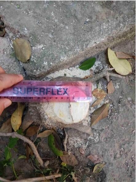 Azərbaycanda vəzifəli şəxs zibilliyə görə CƏZALANDIRILDI - FOTO