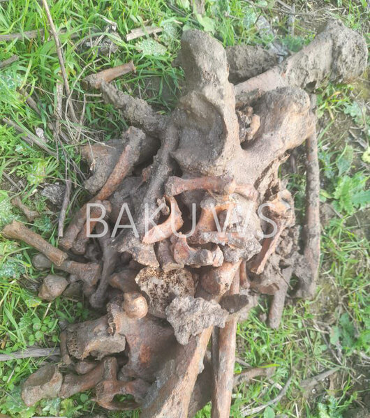 Azərbaycanda həyətində qazıntı aparan şəxs unikal küp tapıb polisə xəbər verdi - FOTO