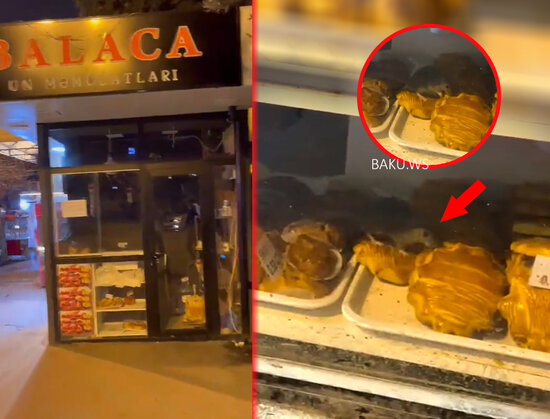 Paytaxtın şirniyyat mağazasında iyrənclik - Siçovul keksin üzərində gəzir - VİDEO - YENİLƏNİB