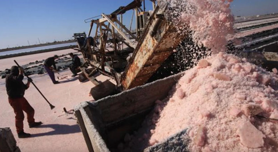 ABŞ-da bir istehsal müəssisəsində insan ürəyi tapıldı