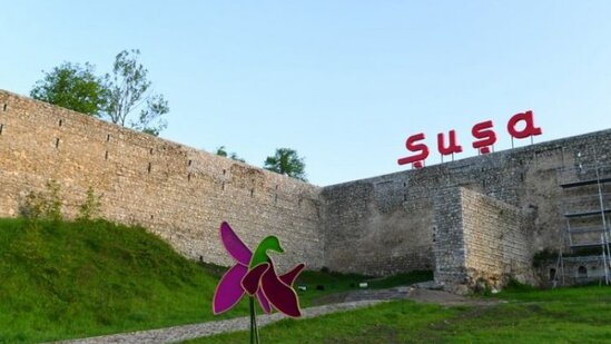 Müşahidə Şurasının növbəti iclası keçirilib