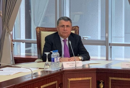 "Bu gün hər bir soydaşımız harada yaşamasından asılı olmayaraq azərbaycanlı olmsası ilə qürur duyur" - Cavanşir Paşazadə