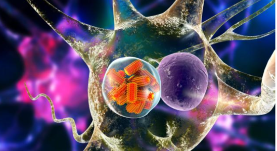 İngiltərədə ən azı 30 uşaq "Strep A" virusundan öldü